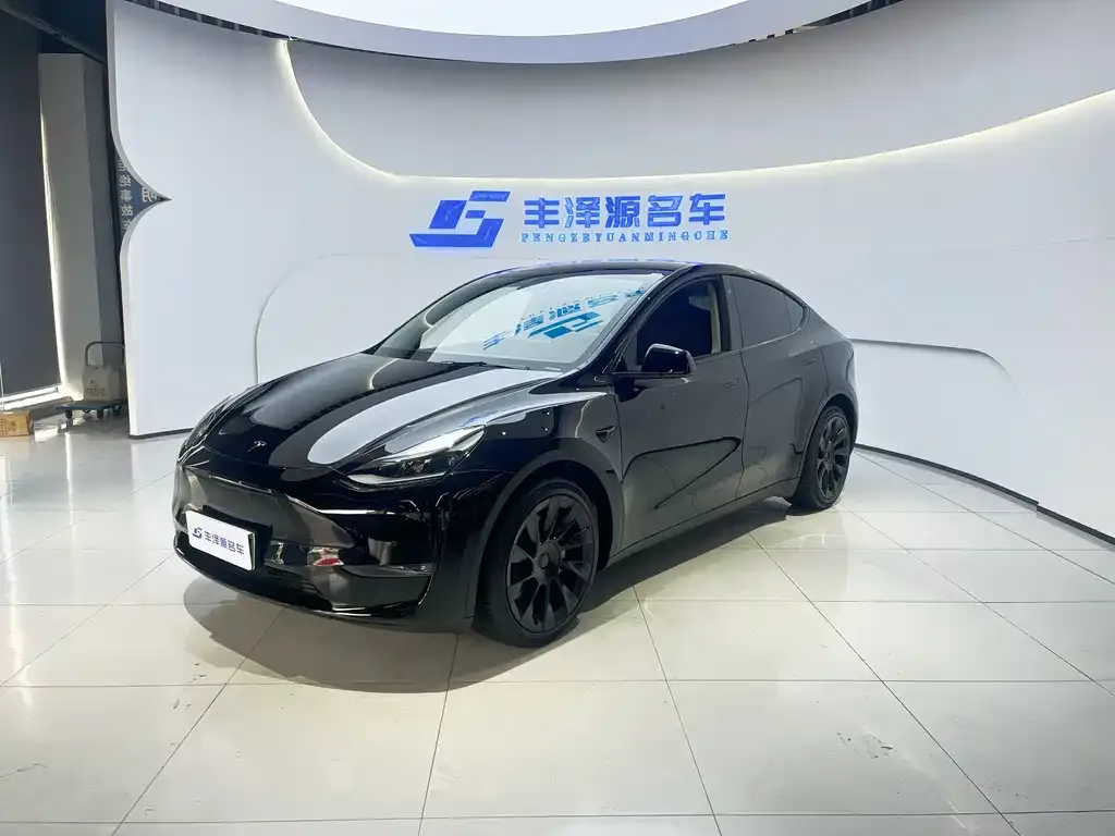 Tesla Model Y — фото 1