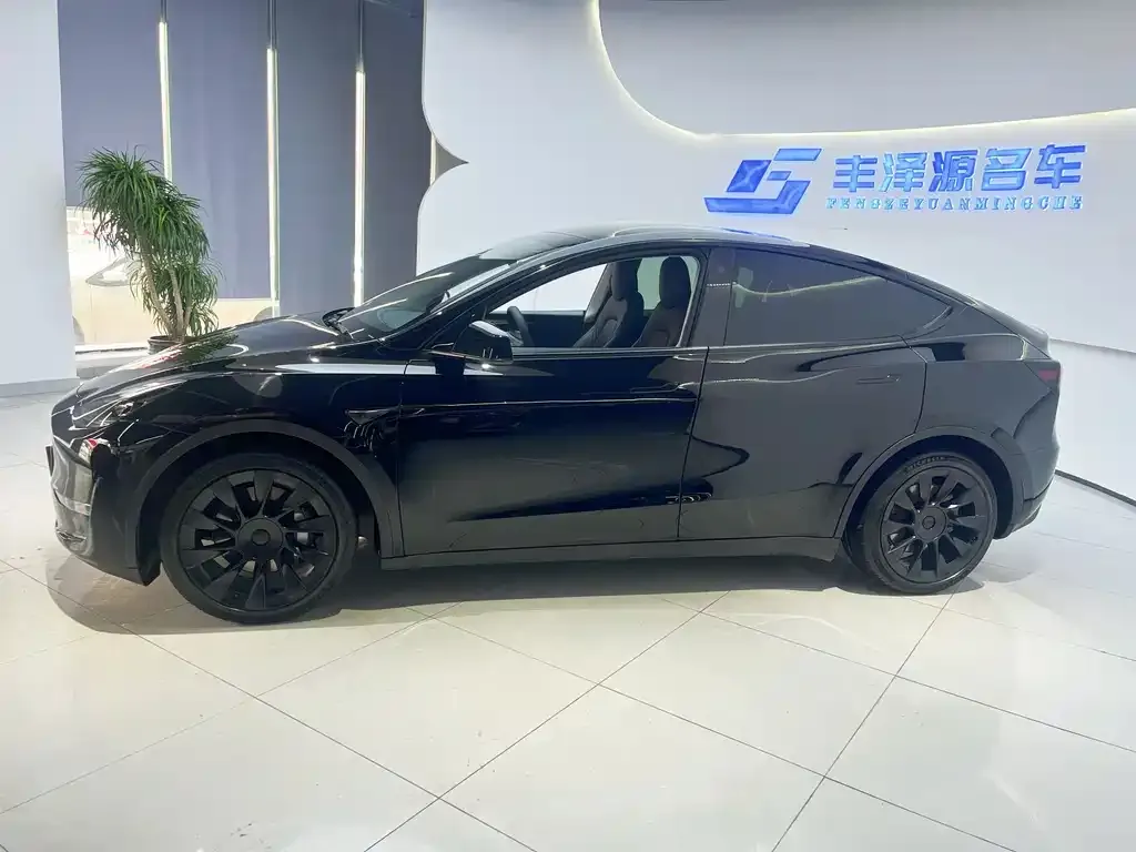 Tesla Model Y — фото 3
