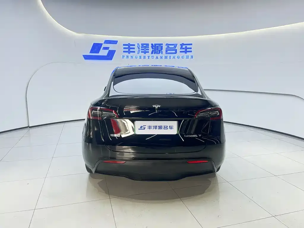 Tesla Model Y — фото 2