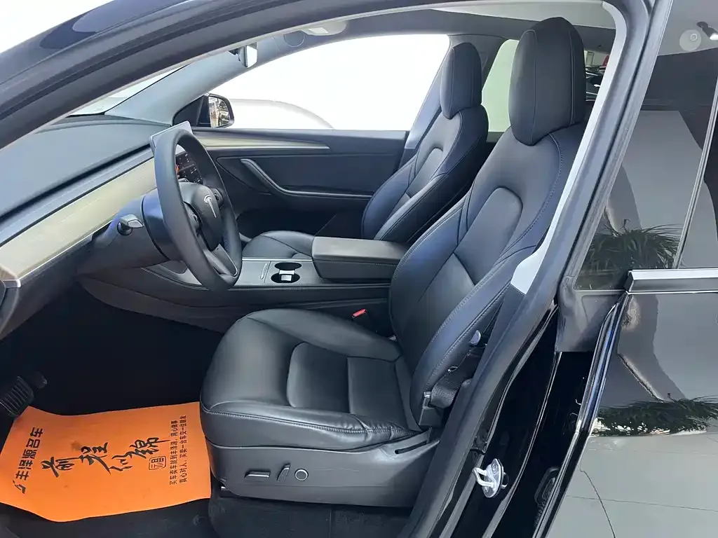 Tesla Model Y — фото 10
