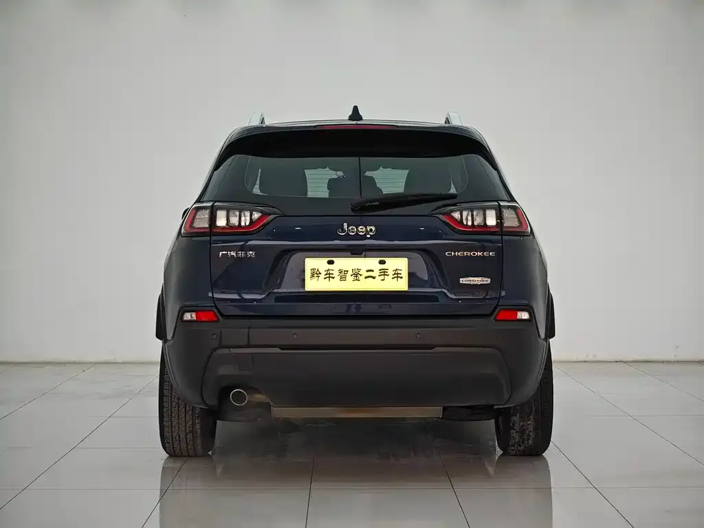 Jeep Cherokee 2021 из CN, фото 7