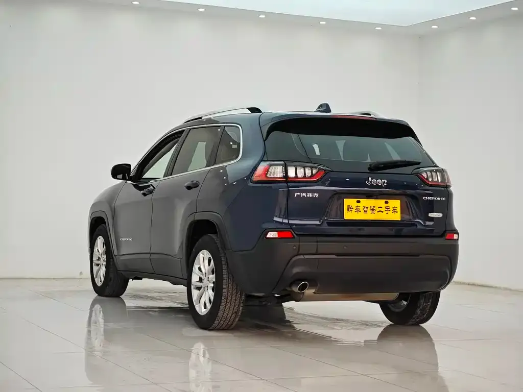 Jeep Cherokee 2021 из CN, фото 4