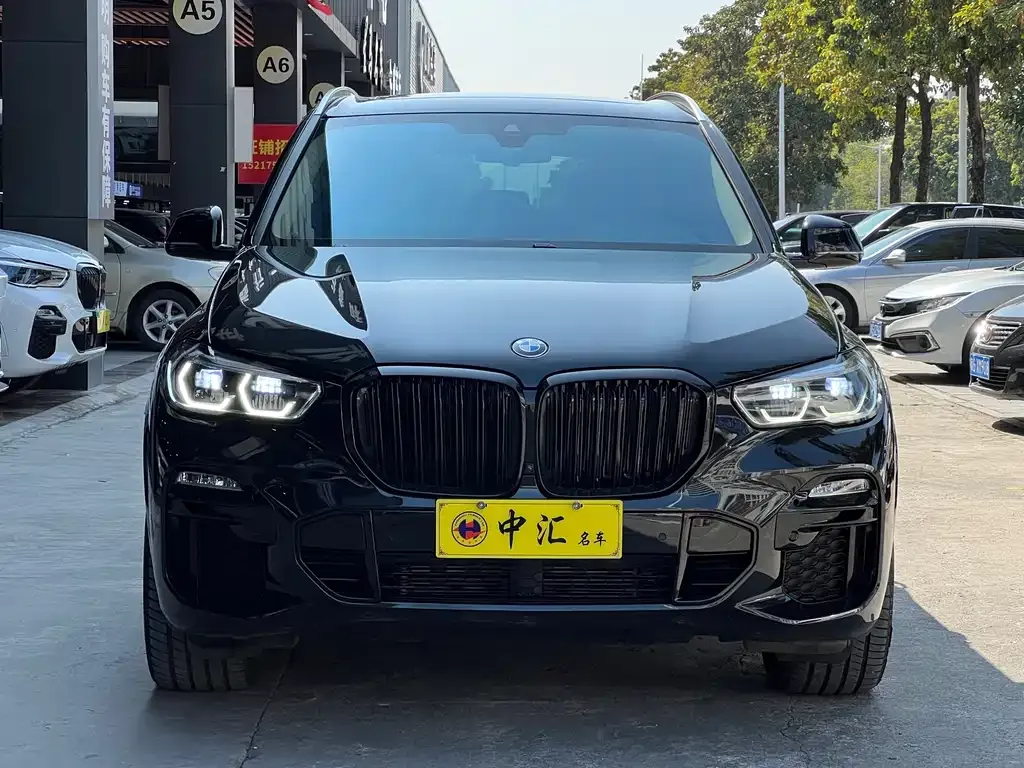 BMW X5 (Import) 2021 из CN, фото 10
