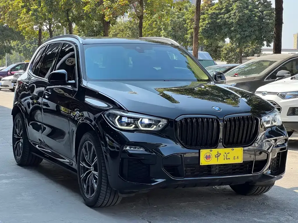 BMW X5 (Import) 2021 из CN, фото 6