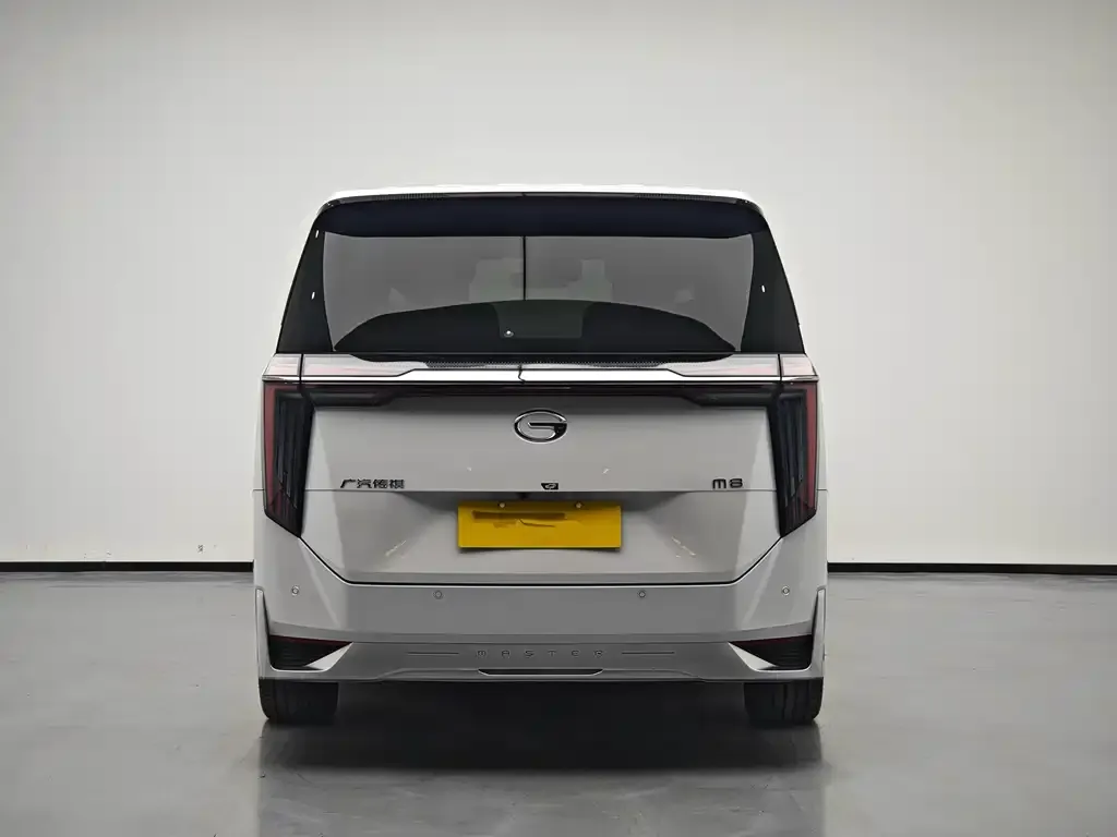 GAC Motor Trumpchi M8 2023 из CN, фото 9
