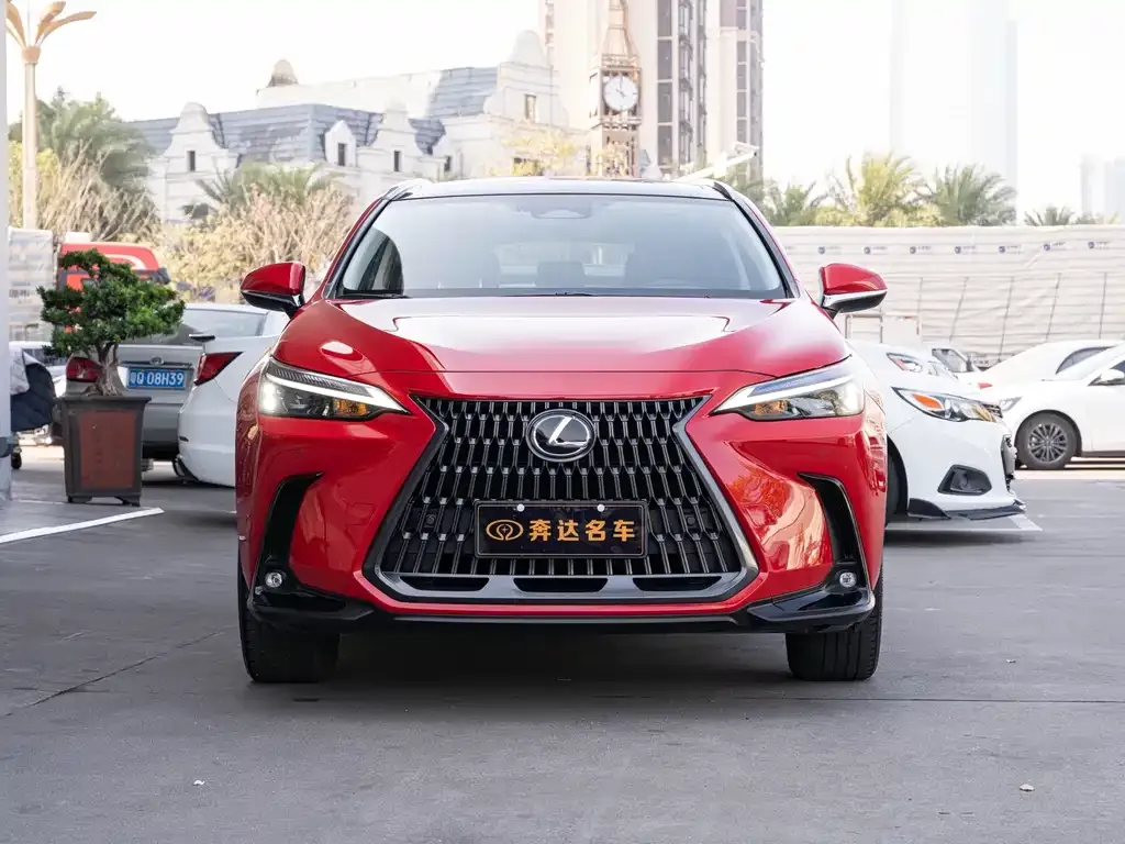 Lexus NX 2022 из CN, фото 7