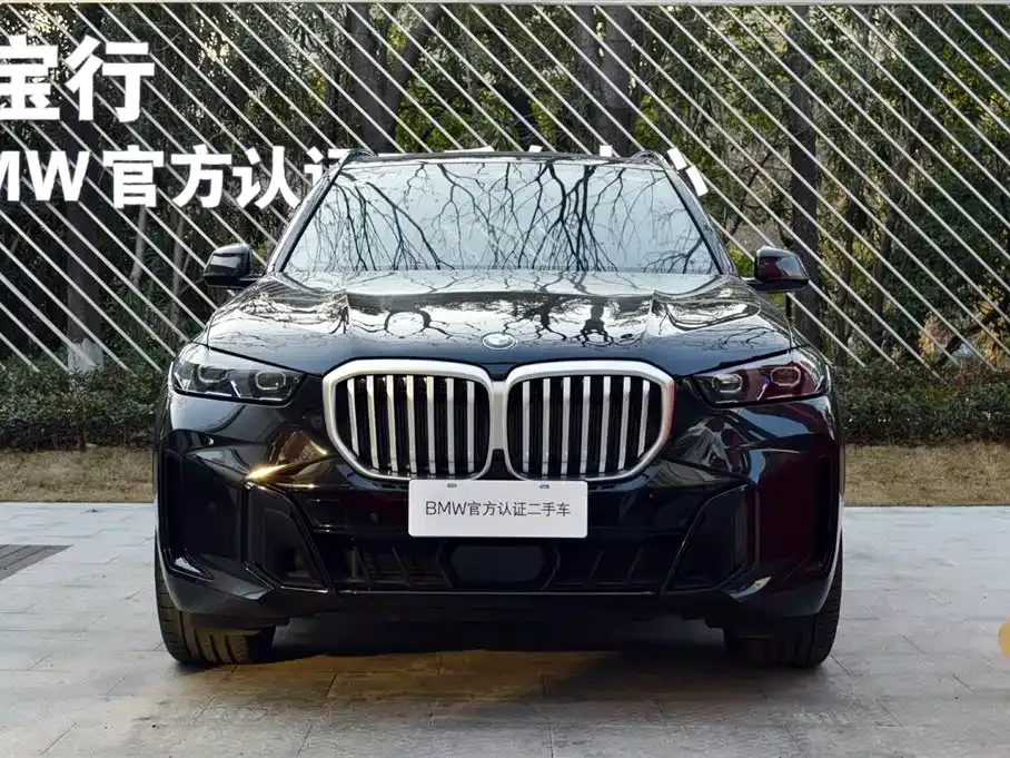 BMW X5 2025 из CN, фото 8