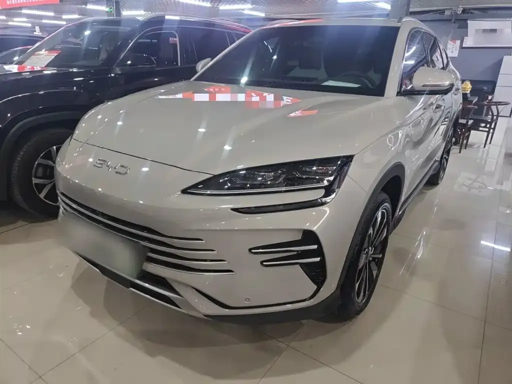 BYD PLUS New Energy — фото 1