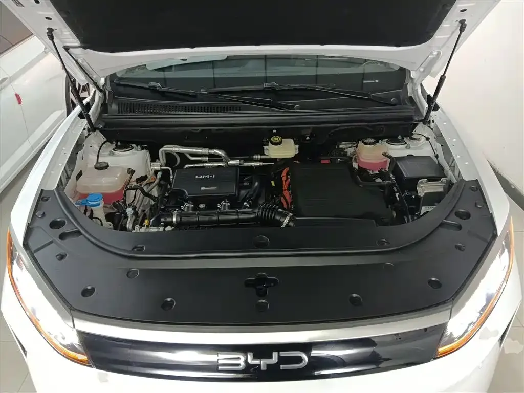 BYD Seal 05 DM-i 2025 из CN, фото 4
