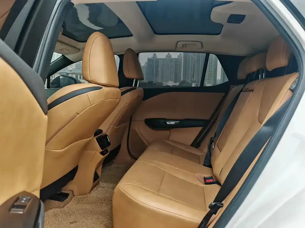 Lexus RZ 2023 из CN, фото 4