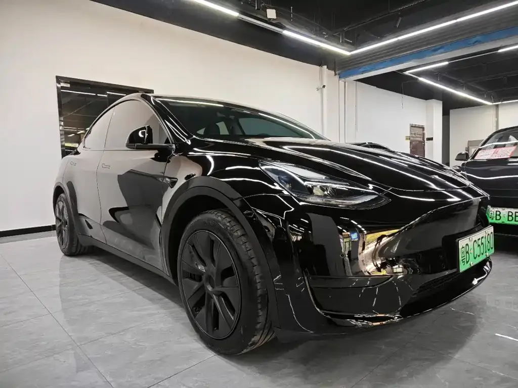 Tesla Model Y 2024 из CN, фото 6
