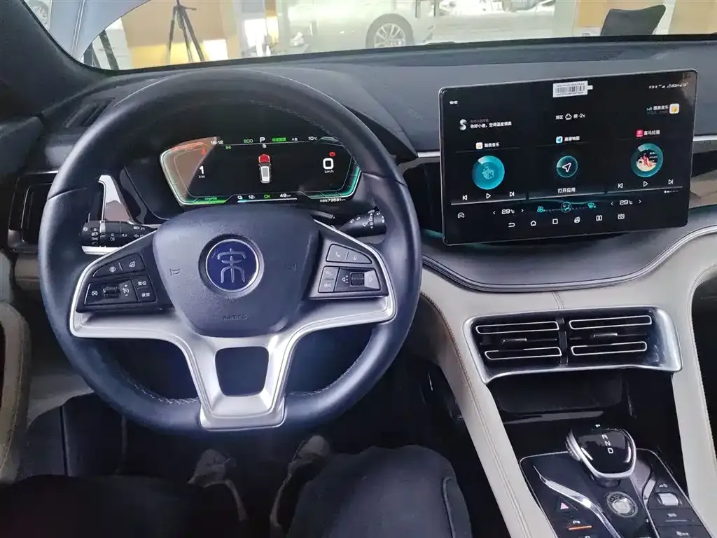 BYD PLUS New Energy 2023 из CN, фото 7