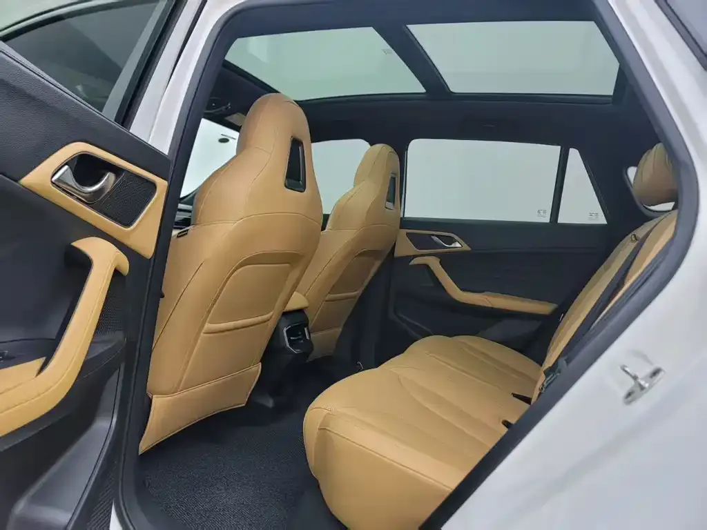 Roewe RX5 New Energy 2022 из CN, фото 3