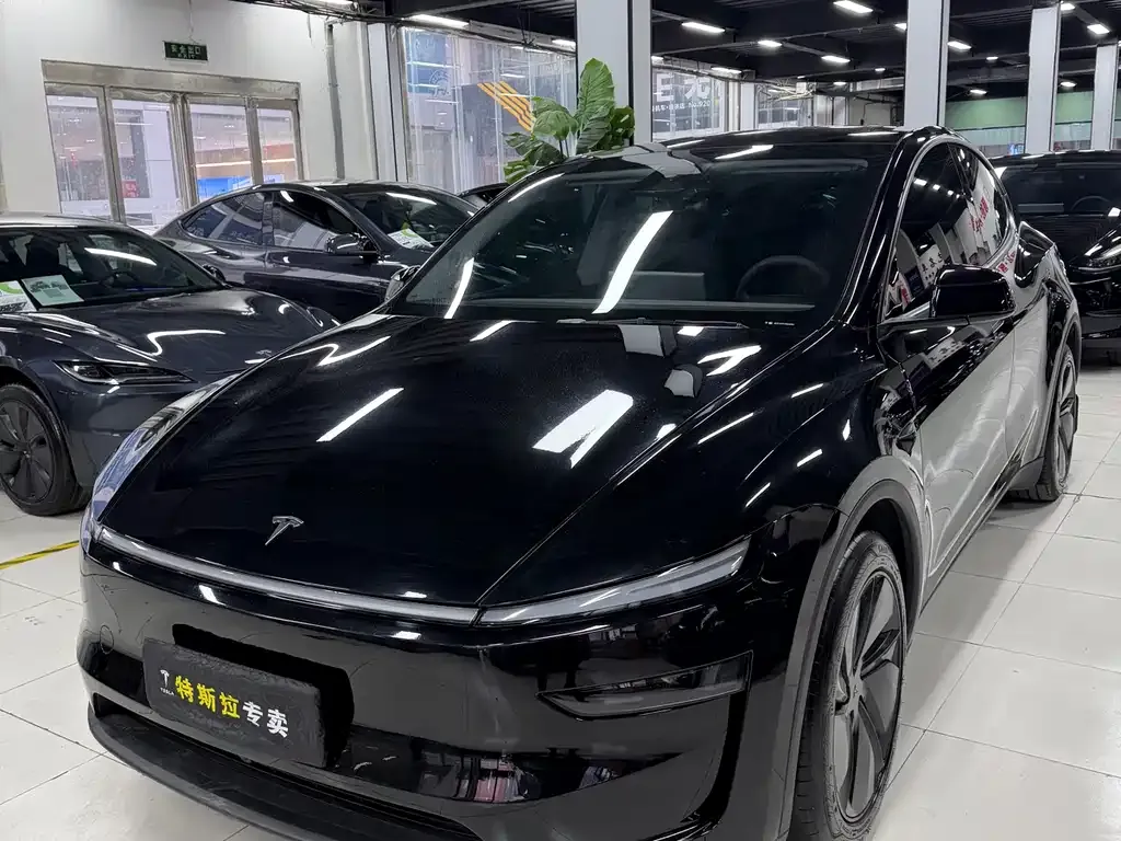 Tesla Model Y — фото 1
