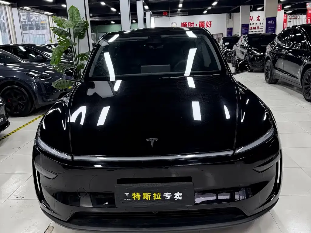 Tesla Model Y — фото 8