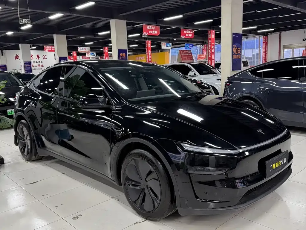 Tesla Model Y — фото 5