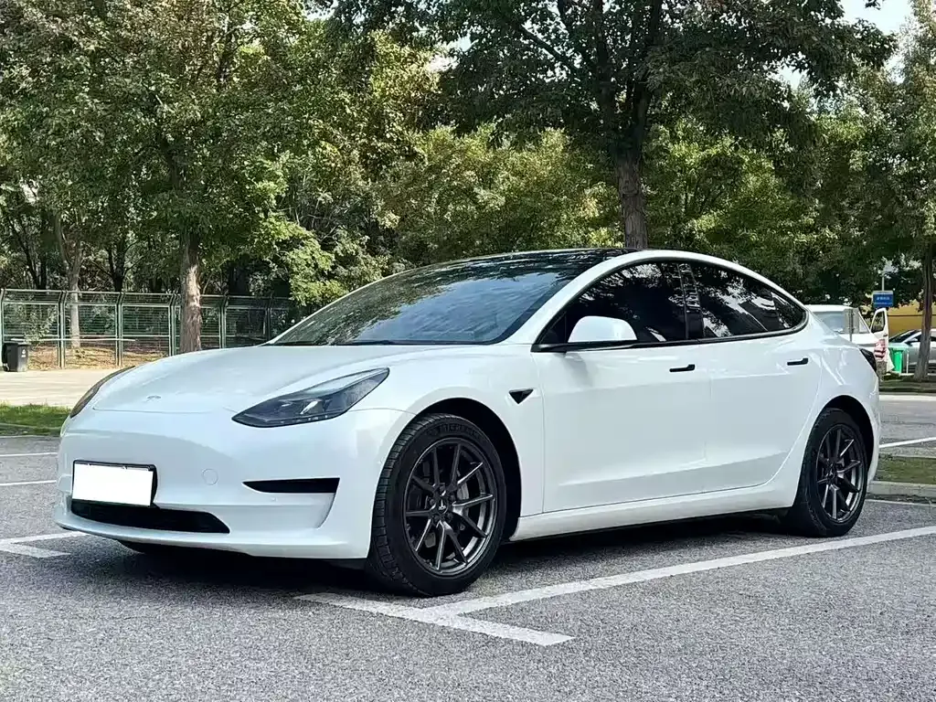 Tesla Model 3 2022 из CN, фото 1