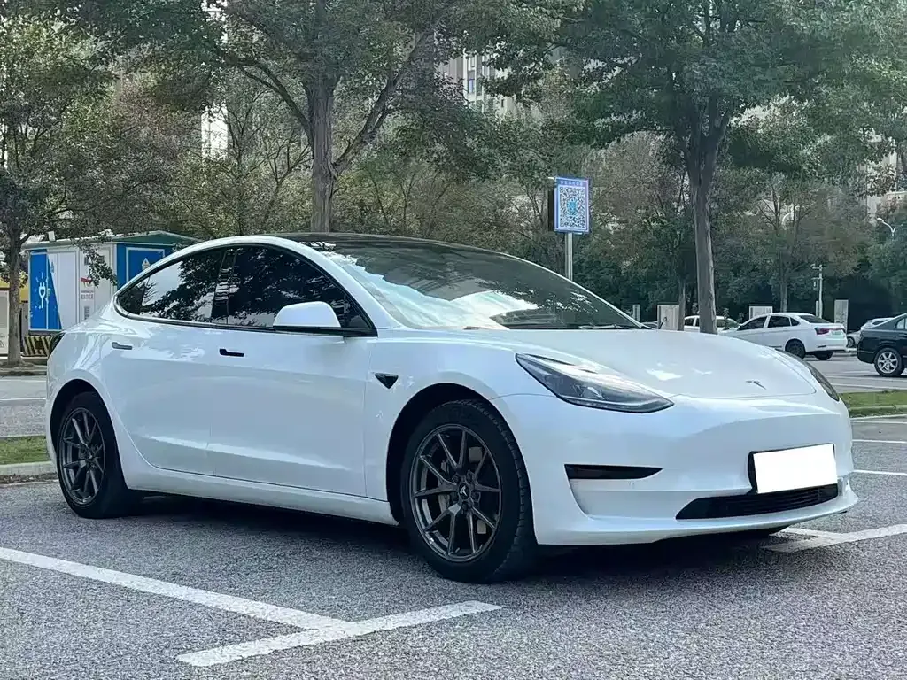 Tesla Model 3 2022 из CN, фото 6