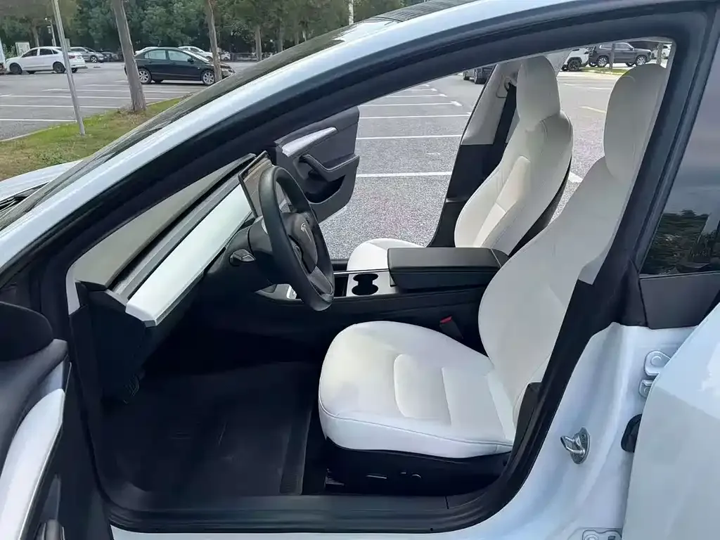 Tesla Model 3 2022 из CN, фото 2