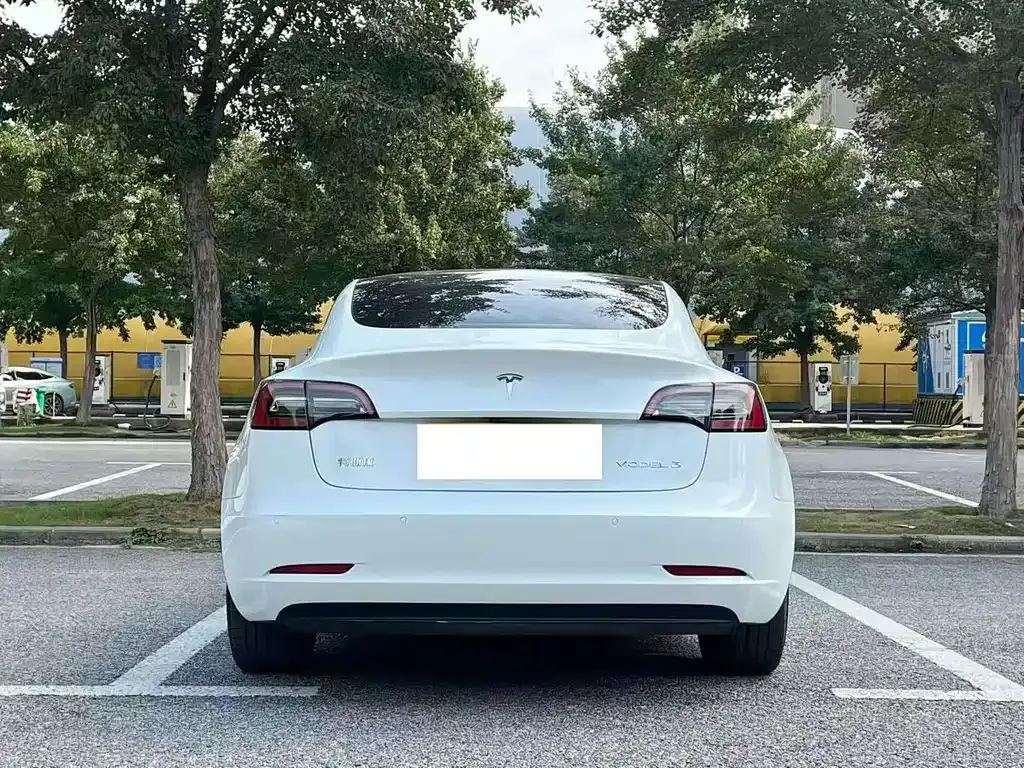 Tesla Model 3 2022 из CN, фото 4
