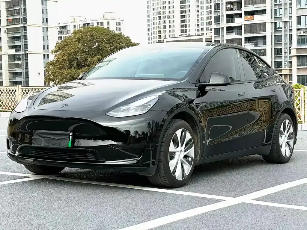 Tesla Model Y — фото 1