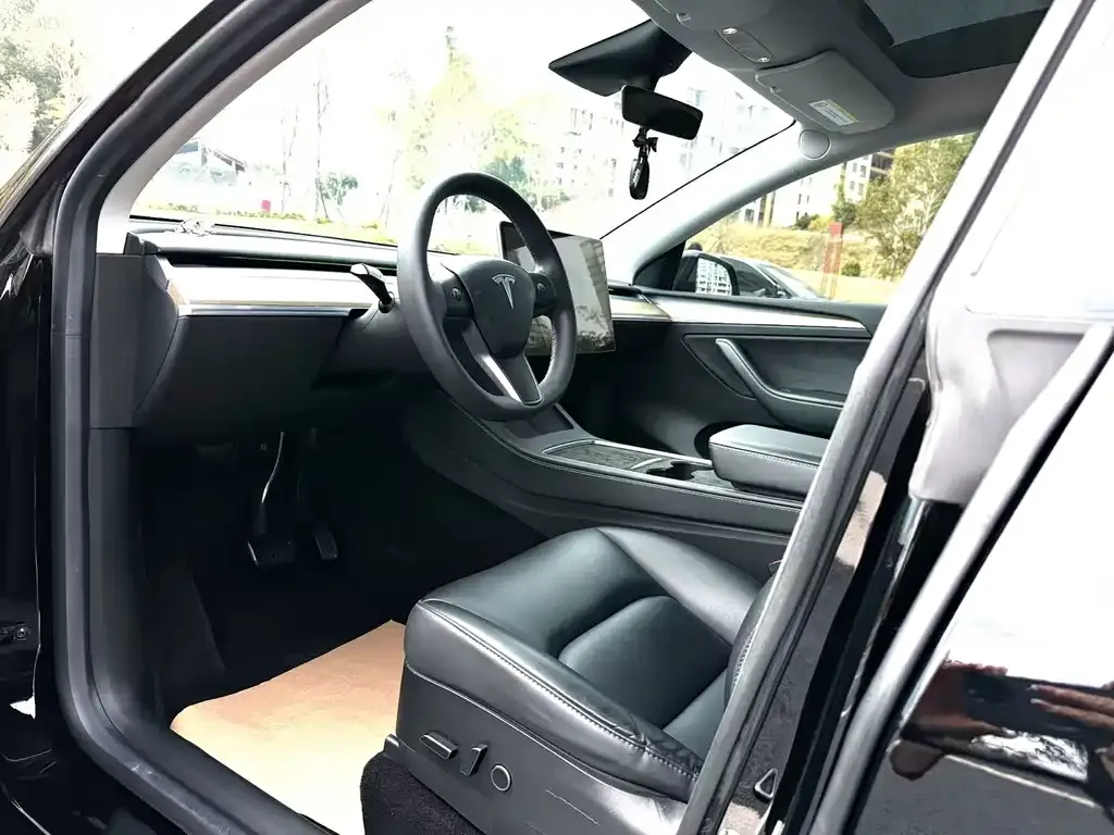 Tesla Model Y — фото 3