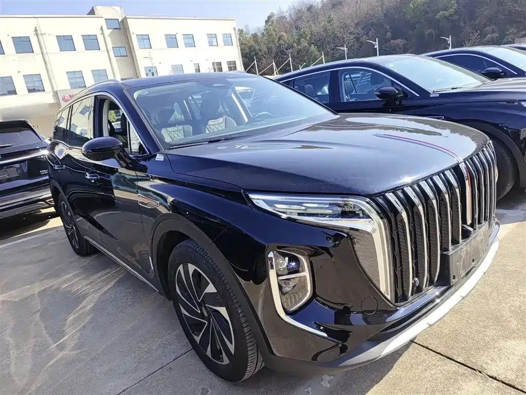 Hongqi HS7 PHEV — фото 6
