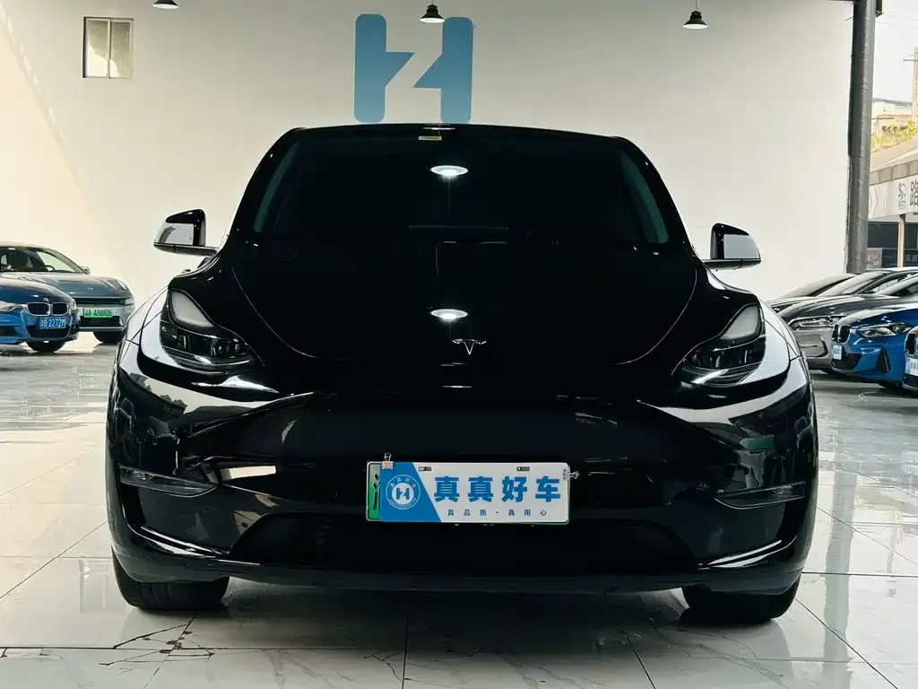 Tesla Model Y — фото 6