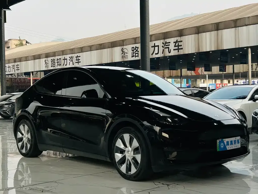 Tesla Model Y — фото 10