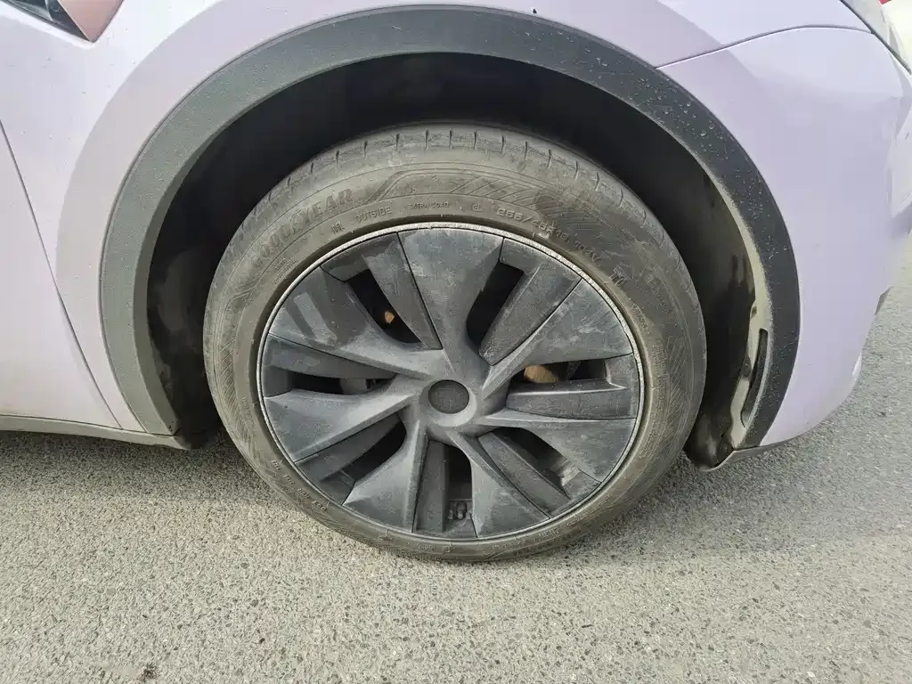Tesla Model Y — фото 9