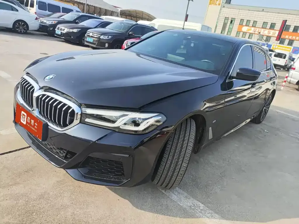 BMW 5 Series 2024 из CN, фото 1