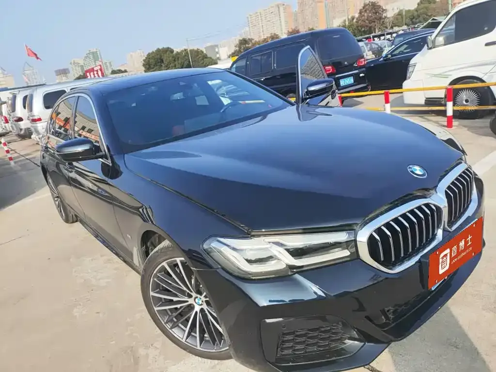BMW 5 Series 2024 из CN, фото 6