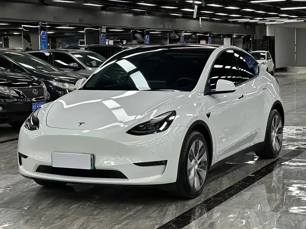 Tesla Model Y — фото 1