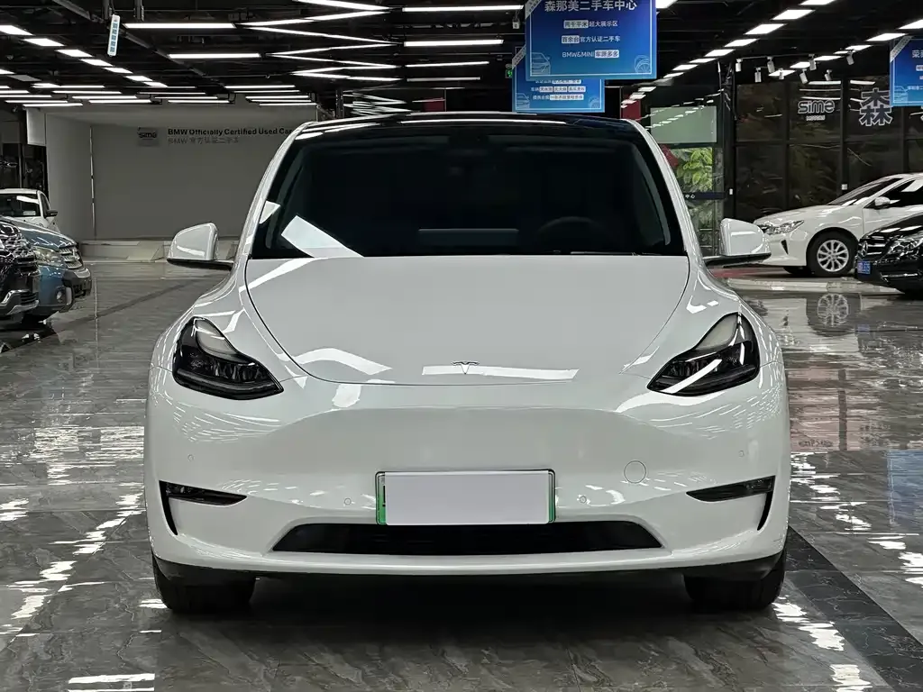 Tesla Model Y — фото 6