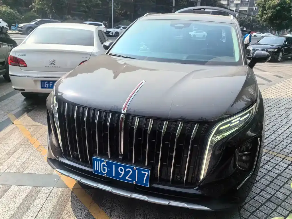 Hongqi HS7 — фото 1