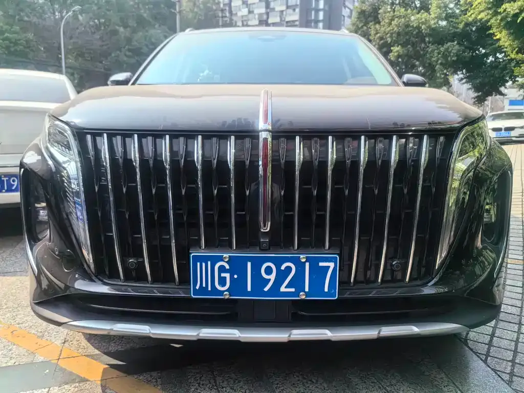 Hongqi HS7 — фото 2