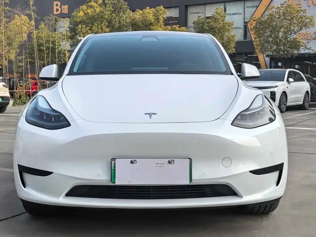 Tesla Model Y — фото 10