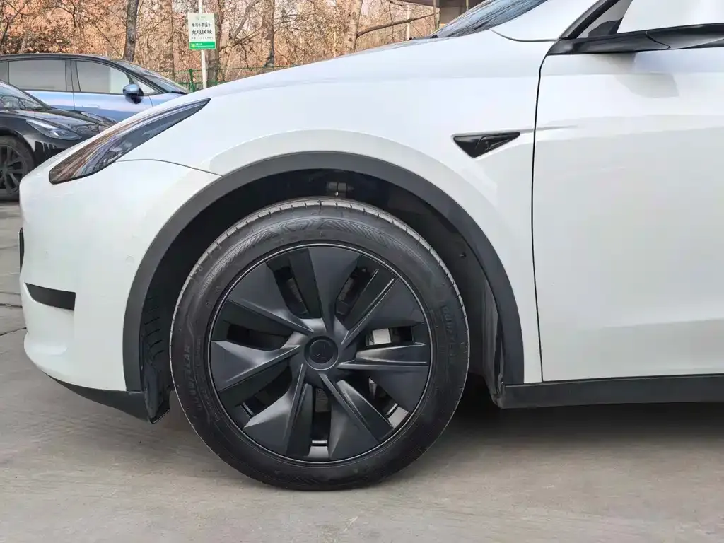 Tesla Model Y — фото 4