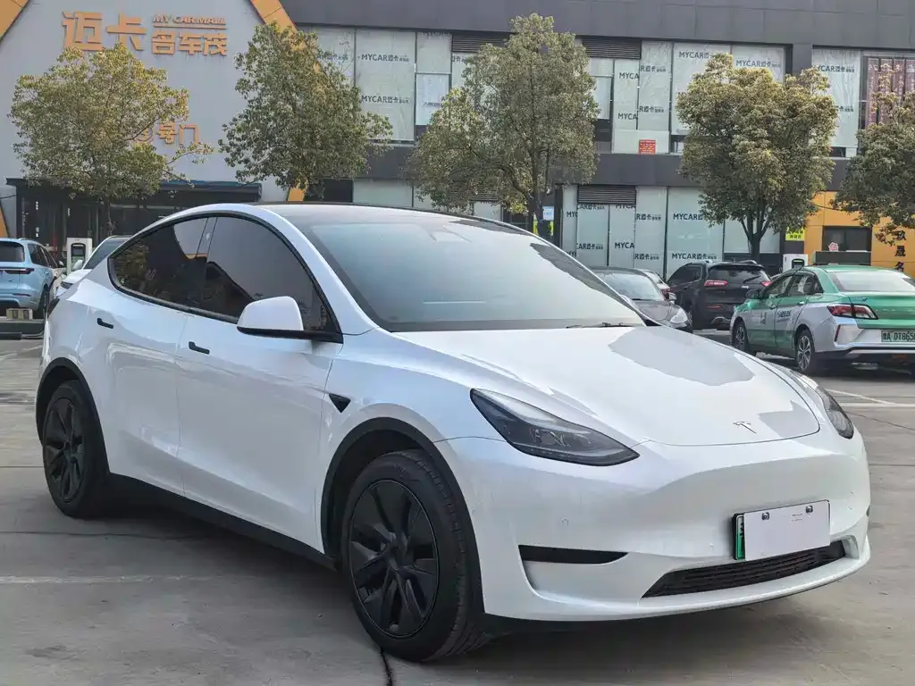 Tesla Model Y — фото 7