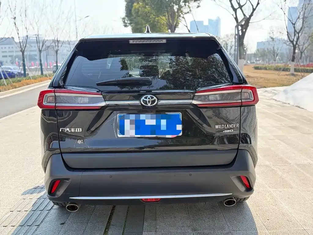 Toyota Wildlander 2023 из CN, фото 7
