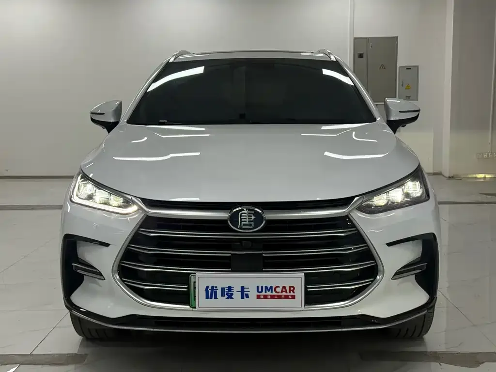 BYD Tang New Energy — фото 3