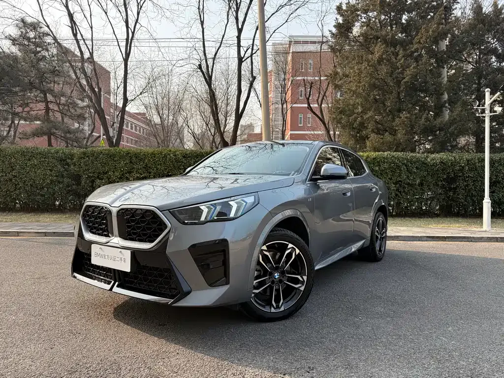 BMW X2 (Import) 2024 из CN, фото 1