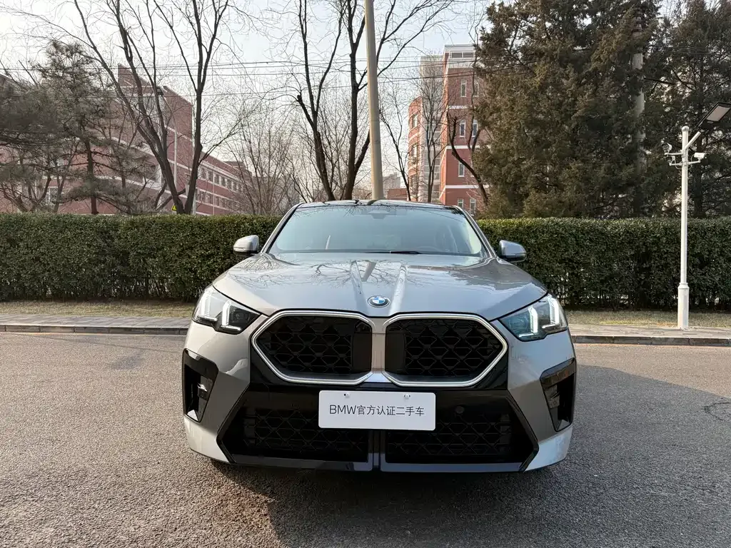 BMW X2 (Import) 2024 из CN, фото 6