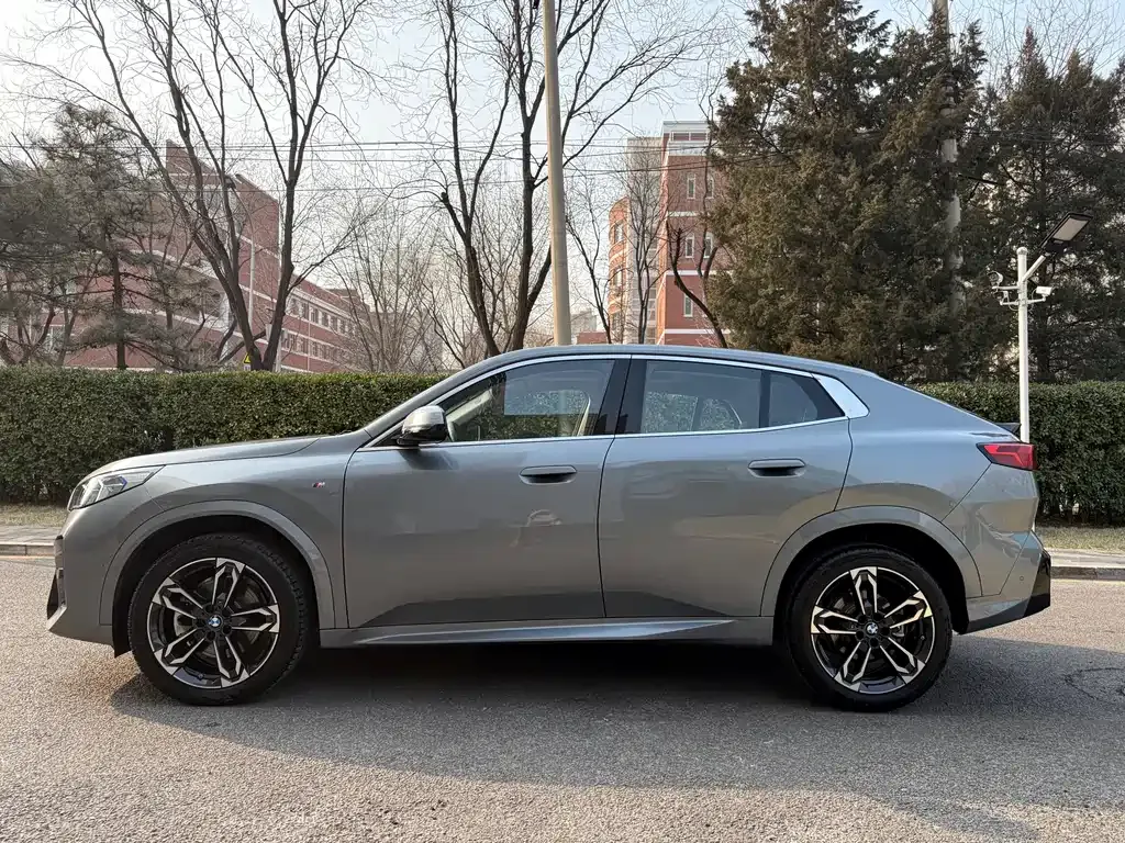 BMW X2 (Import) 2024 из CN, фото 8