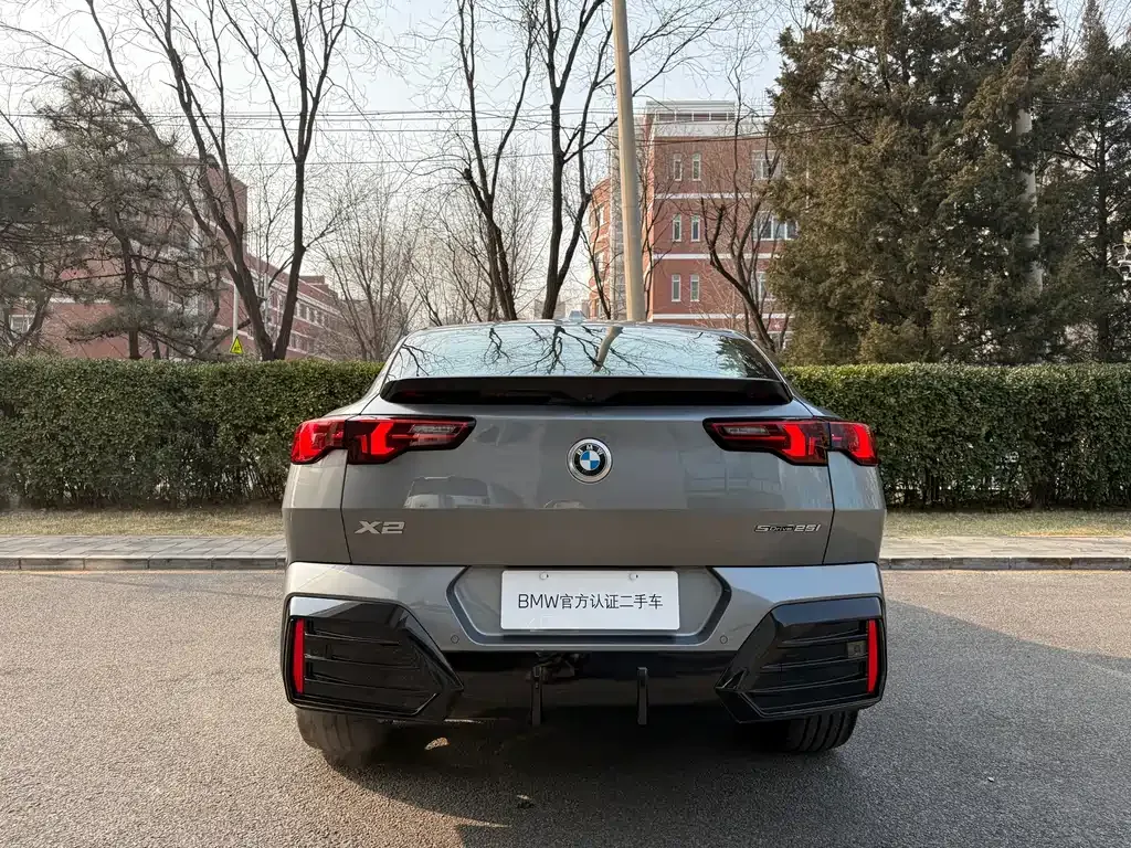 BMW X2 (Import) 2024 из CN, фото 9
