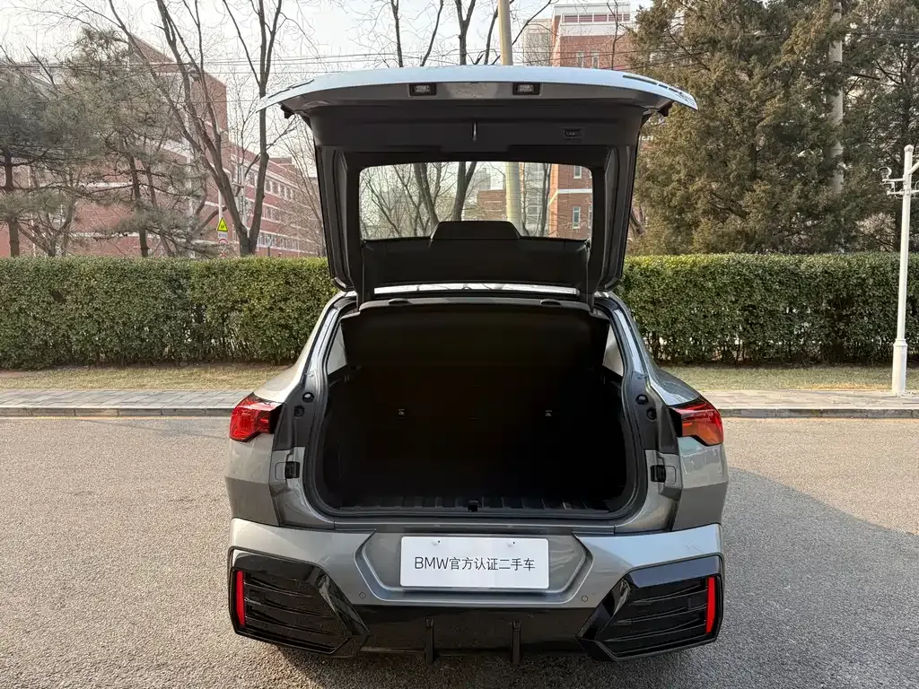 BMW X2 (Import) 2024 из CN, фото 5