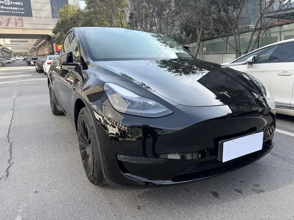 Tesla Model Y — фото 6