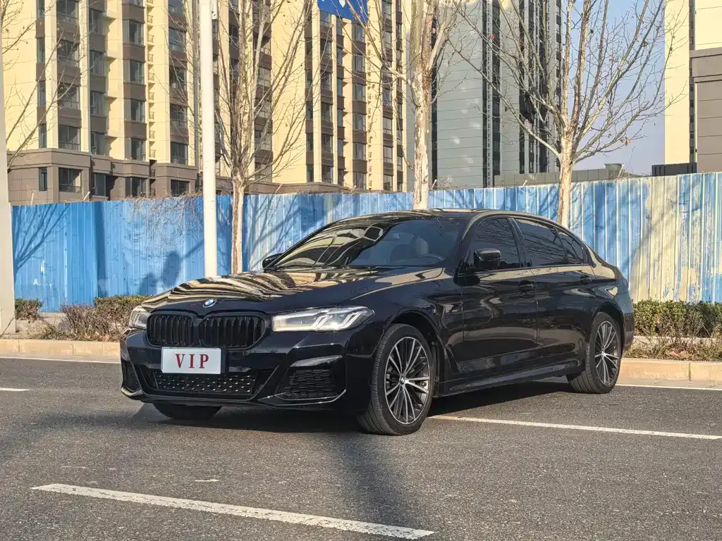 BMW 5 Series 2021 из CN, фото 1