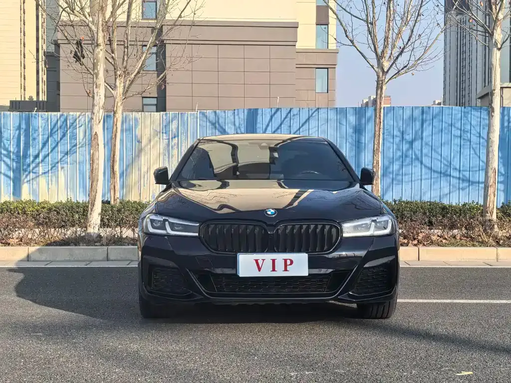 BMW 5 Series 2021 из CN, фото 8