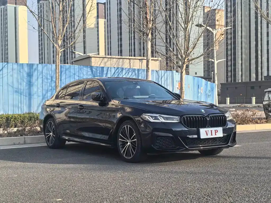 BMW 5 Series 2021 из CN, фото 4